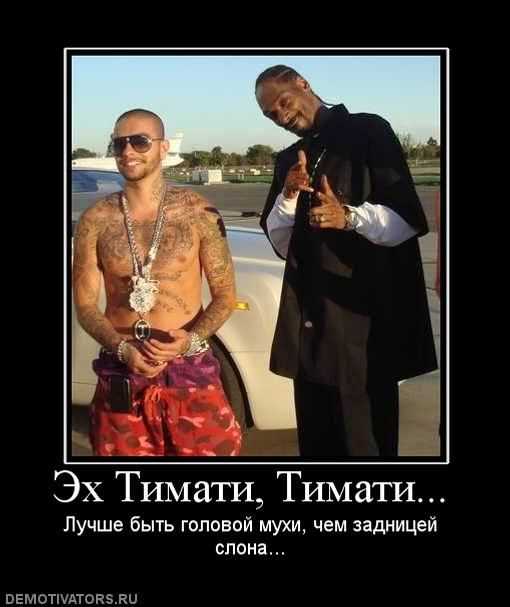Бары с крафтовым пивом