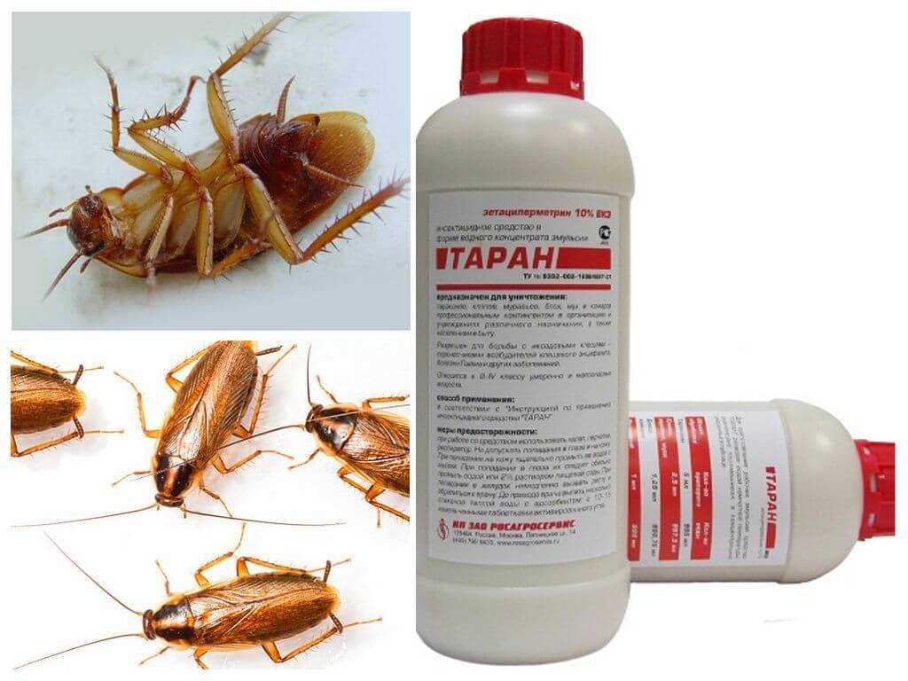 Предосторожности при использовании средств для травли тараканов