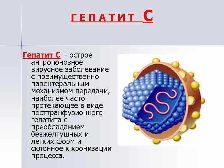 5. Постоянная форма гепатита C