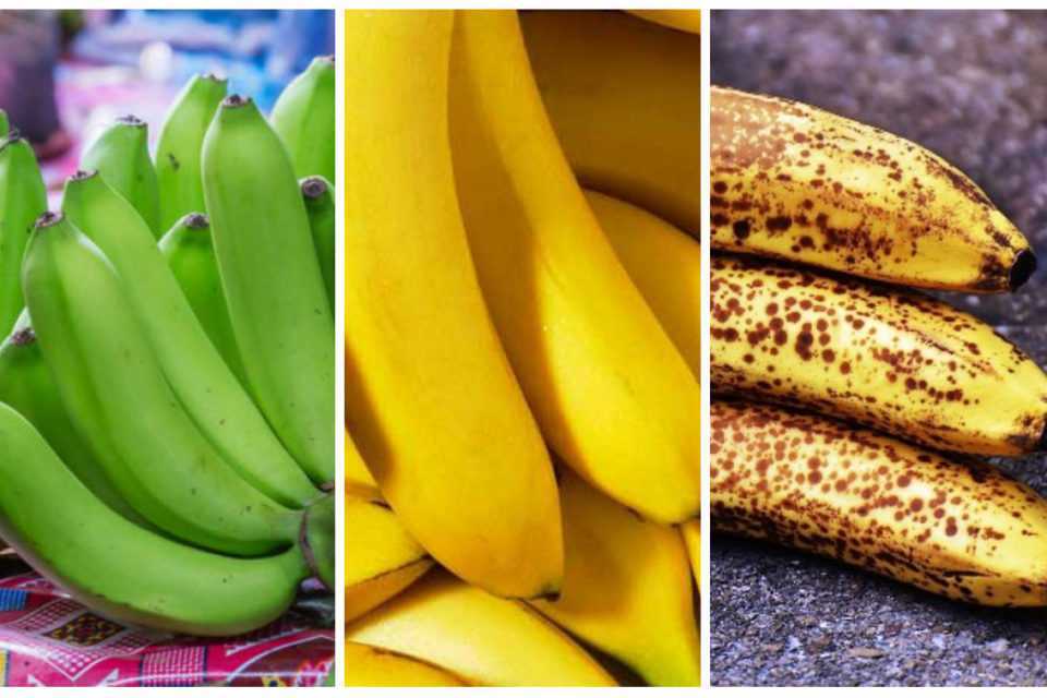 Бананы - важный продукт питания