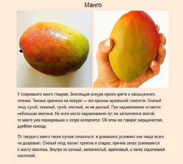 Изучите вес манго