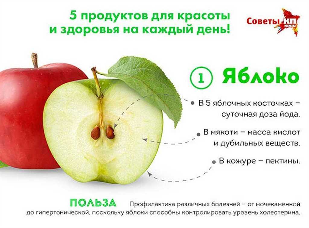 Самые полезные сорта яблок