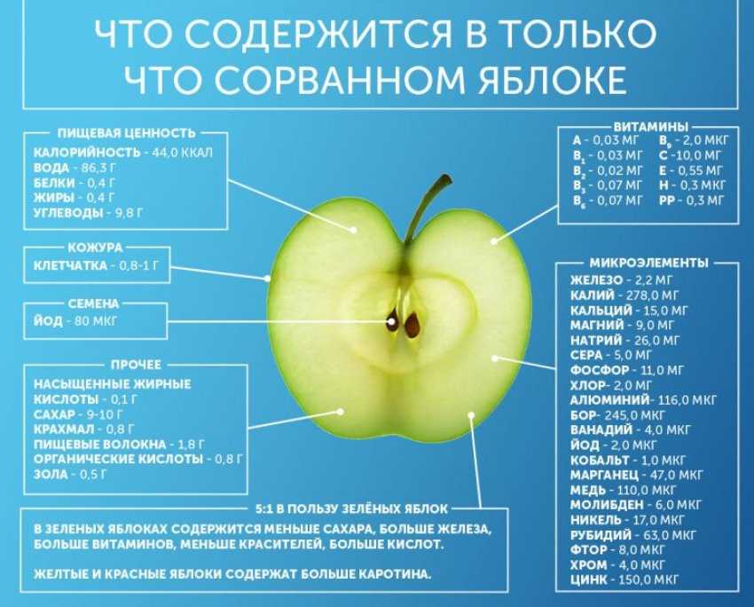 Яблоки - натуральный источник витаминов