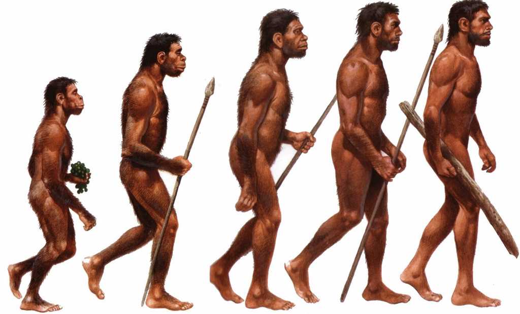 Жизнь неандертальцев