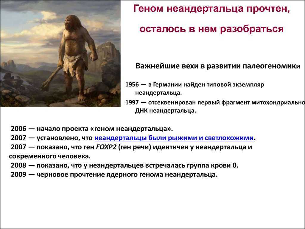 Сравнение жизни неандертальцев с другими эпохами