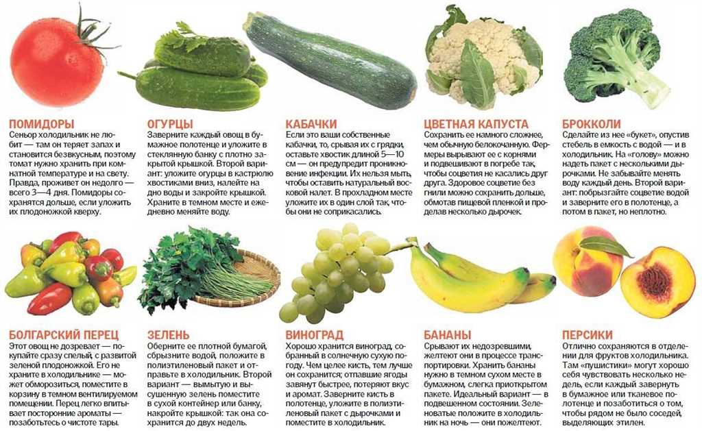 Питательные свойства тыквы