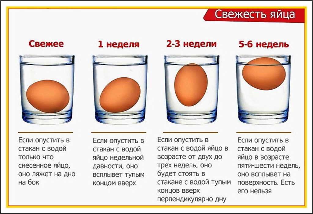 Миф № 1: Потребление яиц ухудшает качество грудного молока