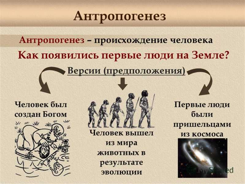 Особенности Homo sapiens