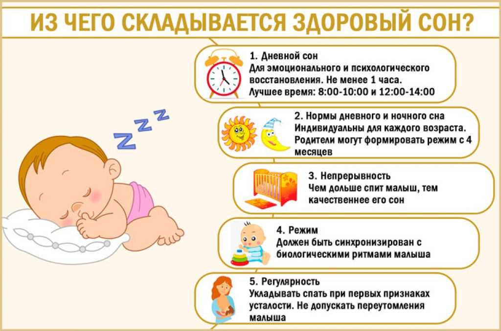 Этапы развития сна