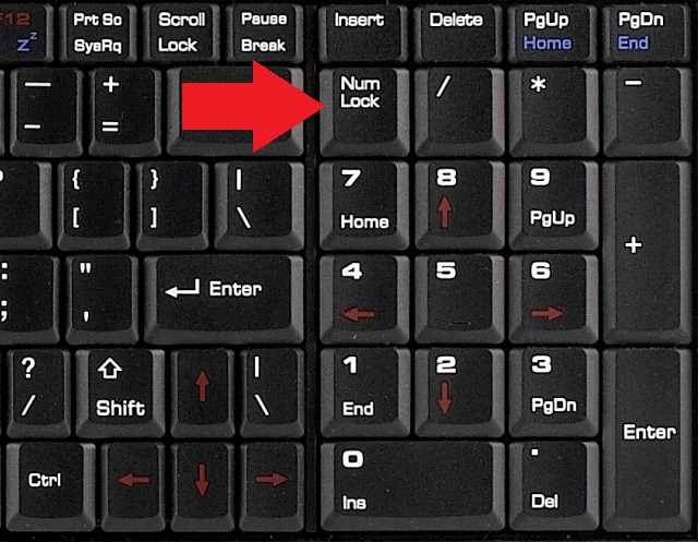 Что делать, если клавиатура не работает