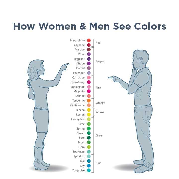 Определение цветового спектра