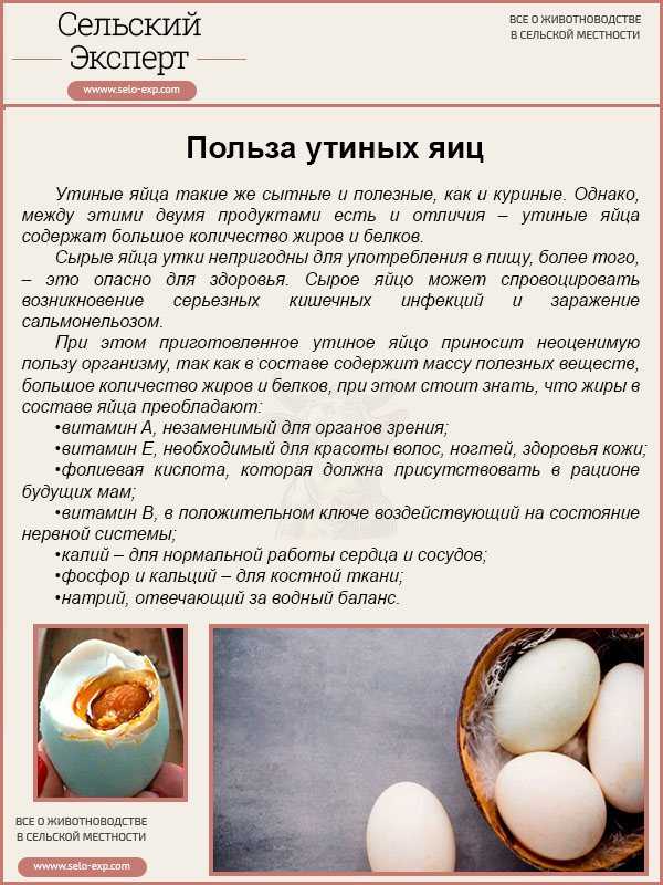Преимущества употребления яиц