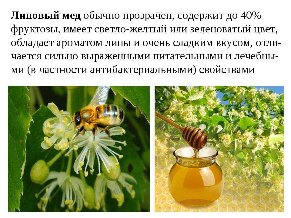 Влияние меда на жизнь пчел